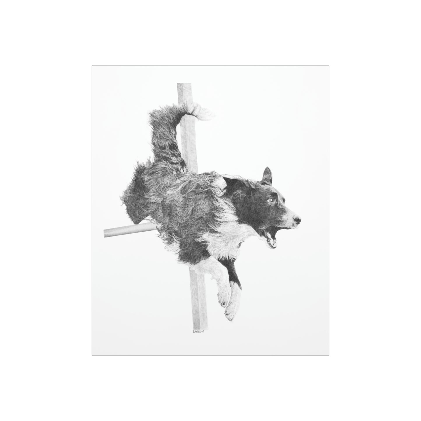 "High Octane" - Agility Border Collie Print