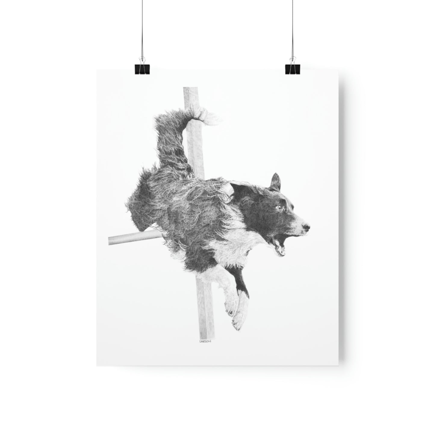 "High Octane" - Agility Border Collie Print